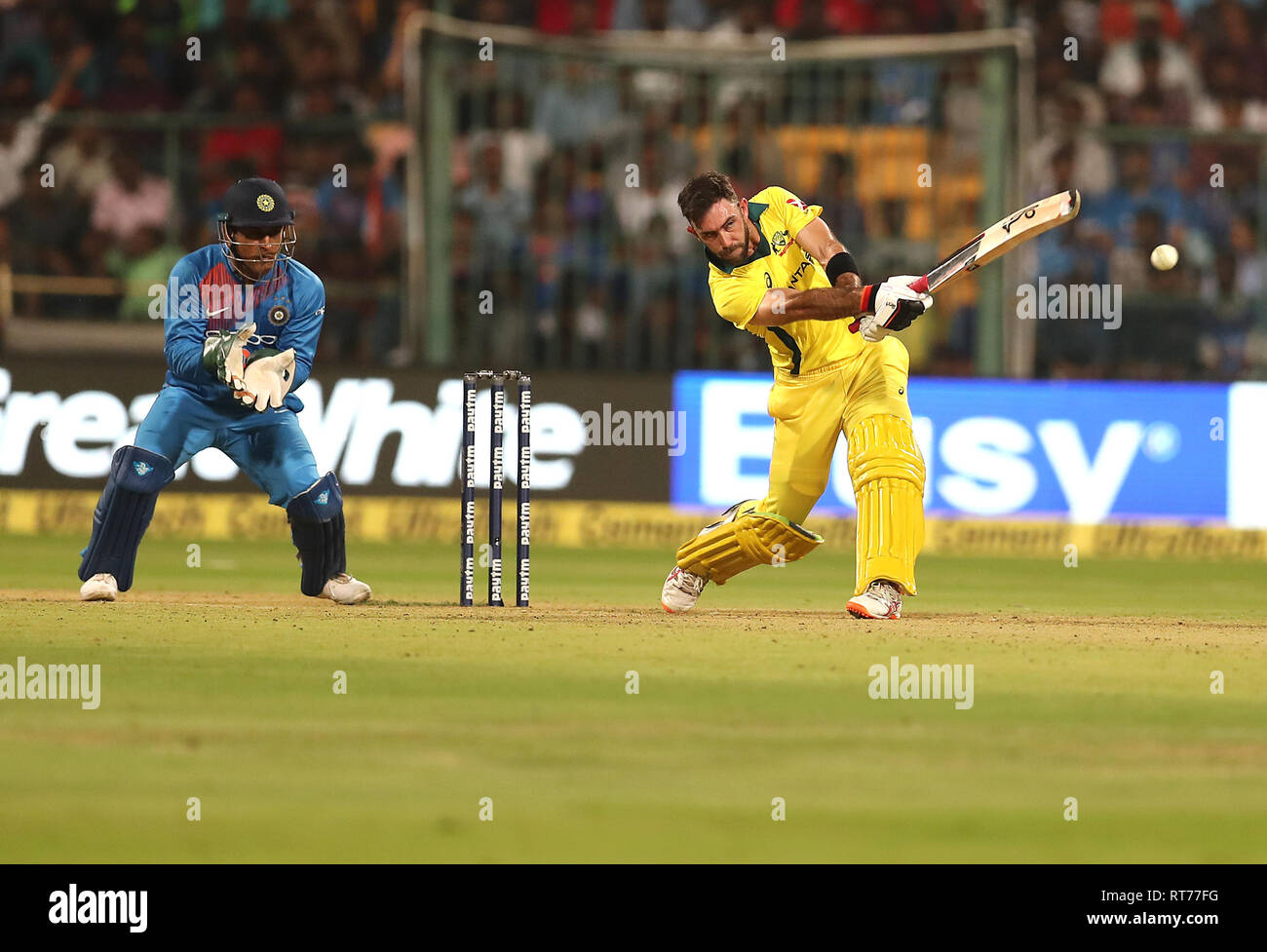 Msd Cwc 2019 Cwc australia hi-res stock photography and images - Alamy