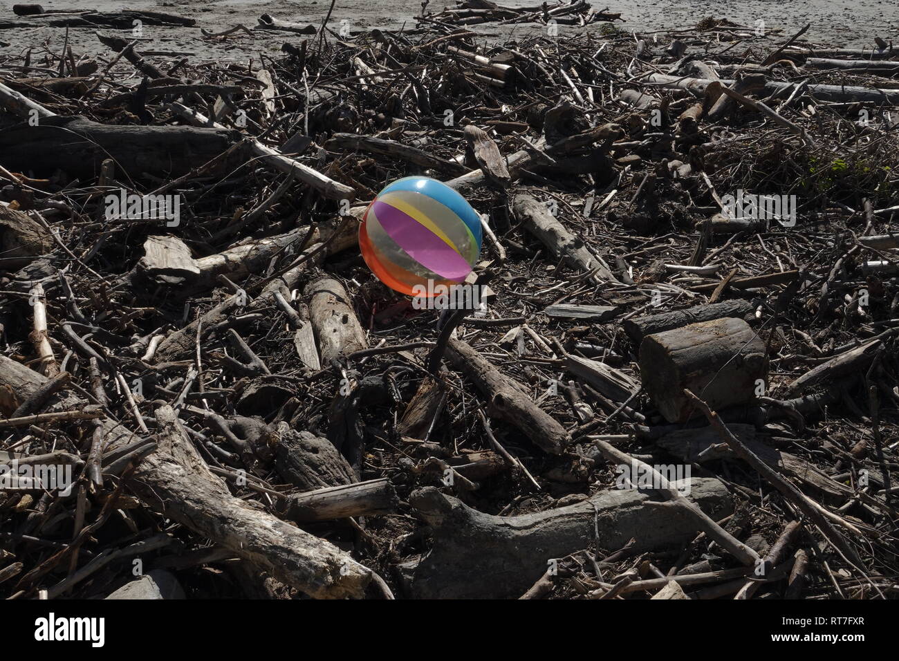 Motofoto hires stock photography and images Alamy