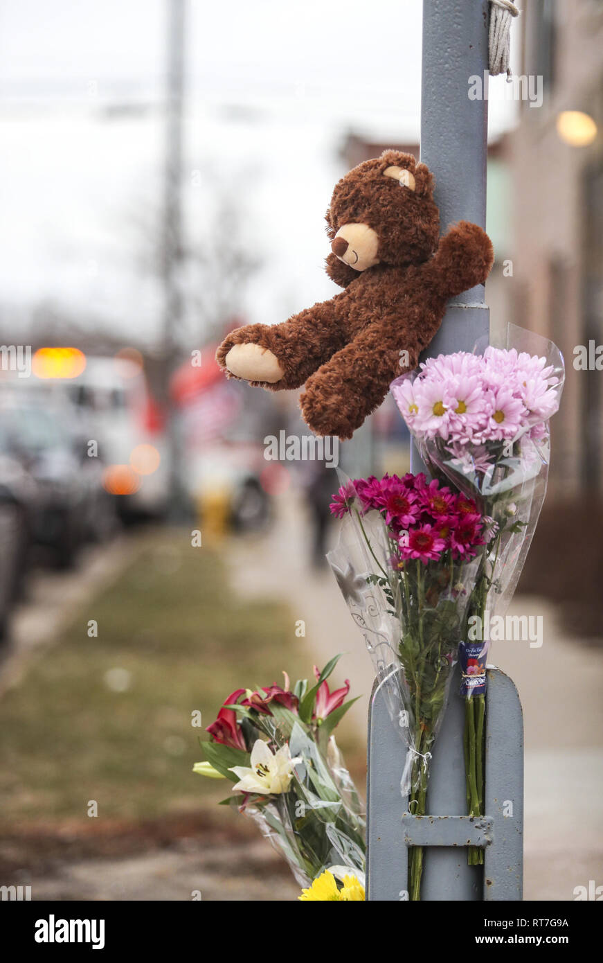 clintons teddy bear