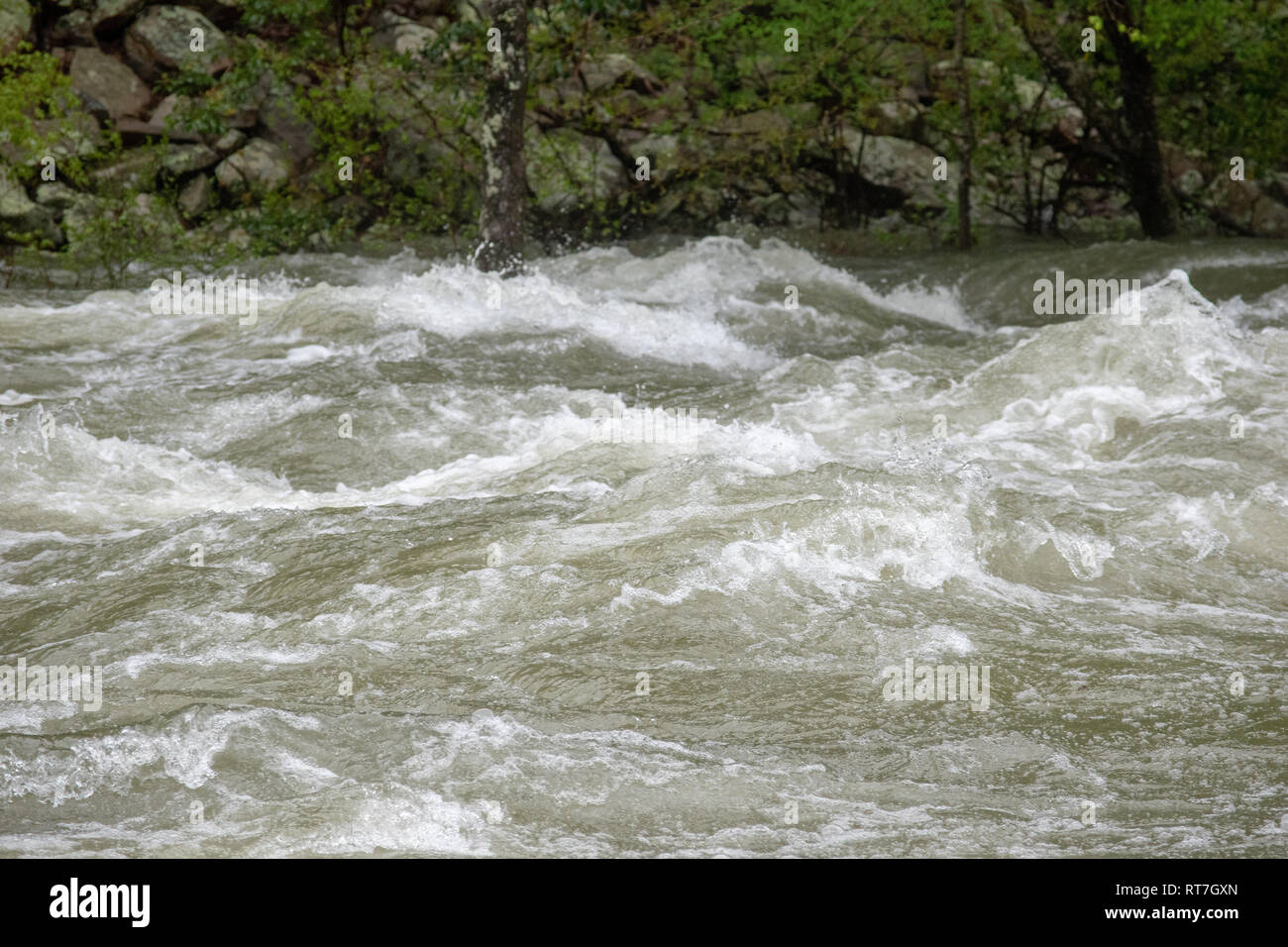 Water Surging in a Creek from Massive Rains Stock Photo Alamy