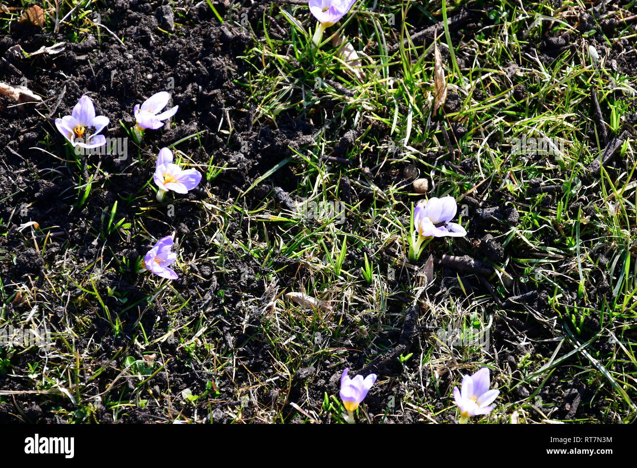 outdoor, outside, Stock Photo