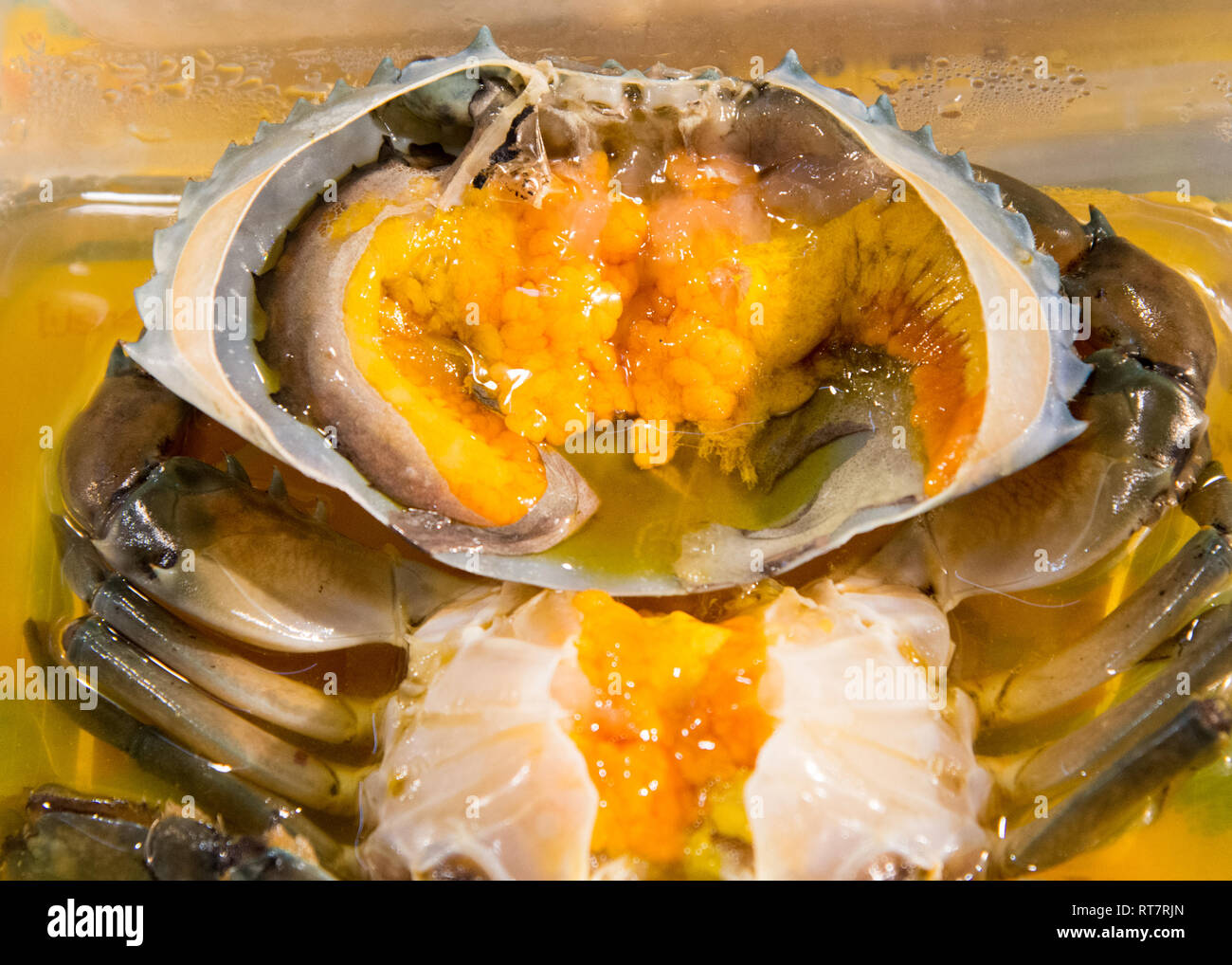 Pickled crab eggs with fish sauce, Thai seafood Stock Photo Alamy