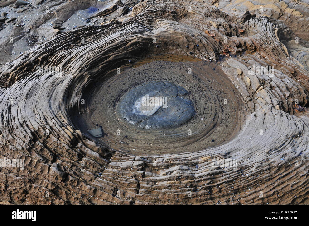 Detail of tiny round rock pool in middle of eroded volcanic rock ...