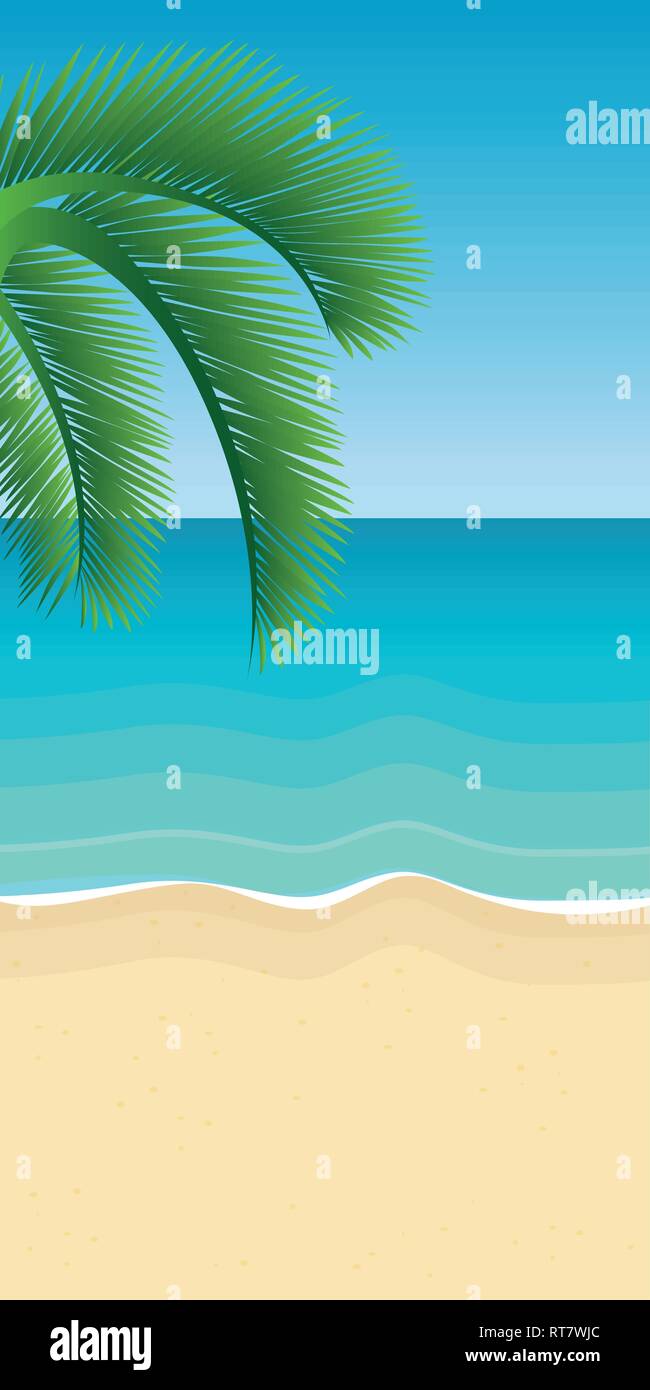palm tree leaf on the beach with turquoise water summer holiday background vector illustration EPS10 Stock Vector