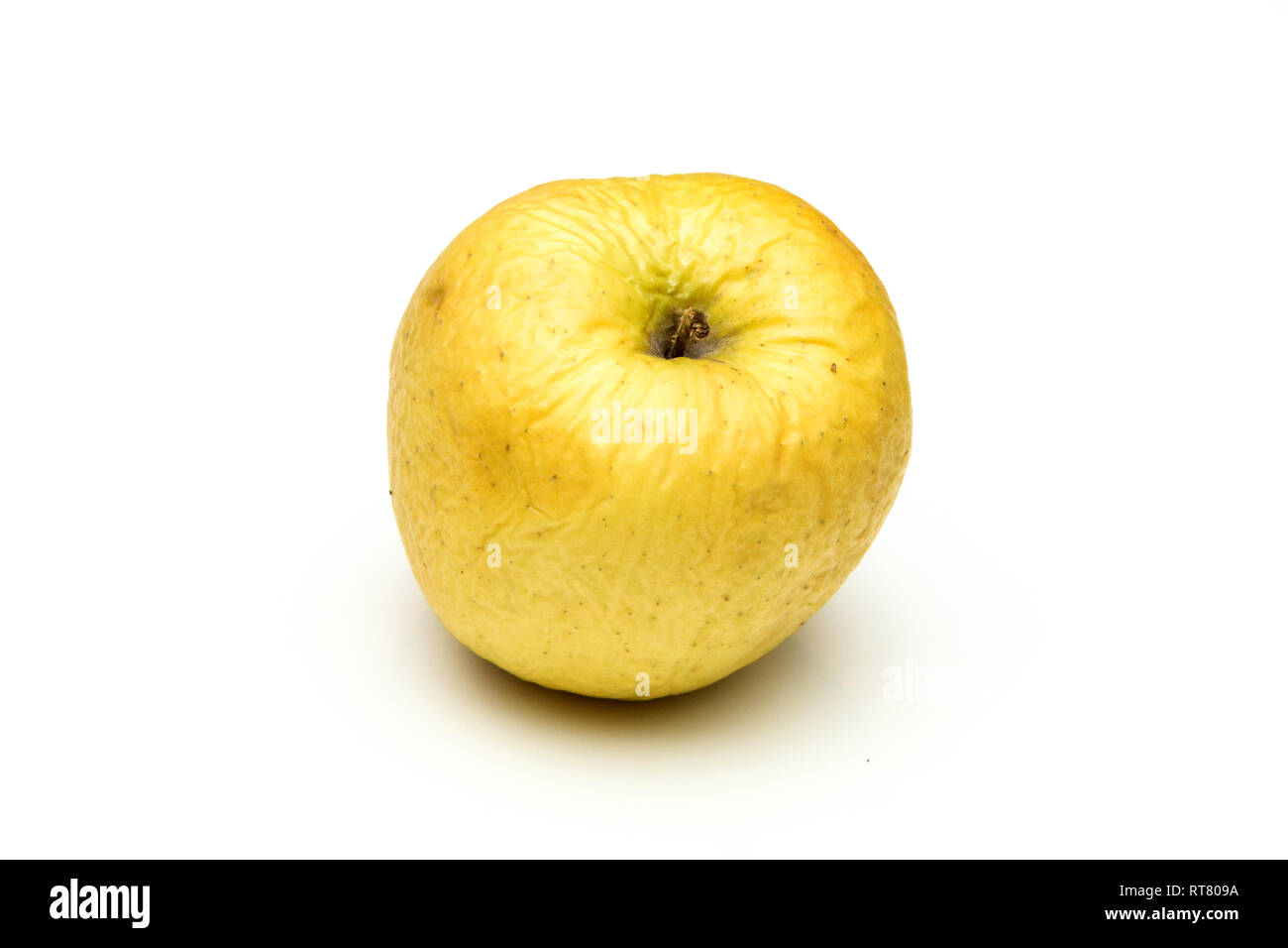A picture of an ordinary green Golden Delicious apple, without