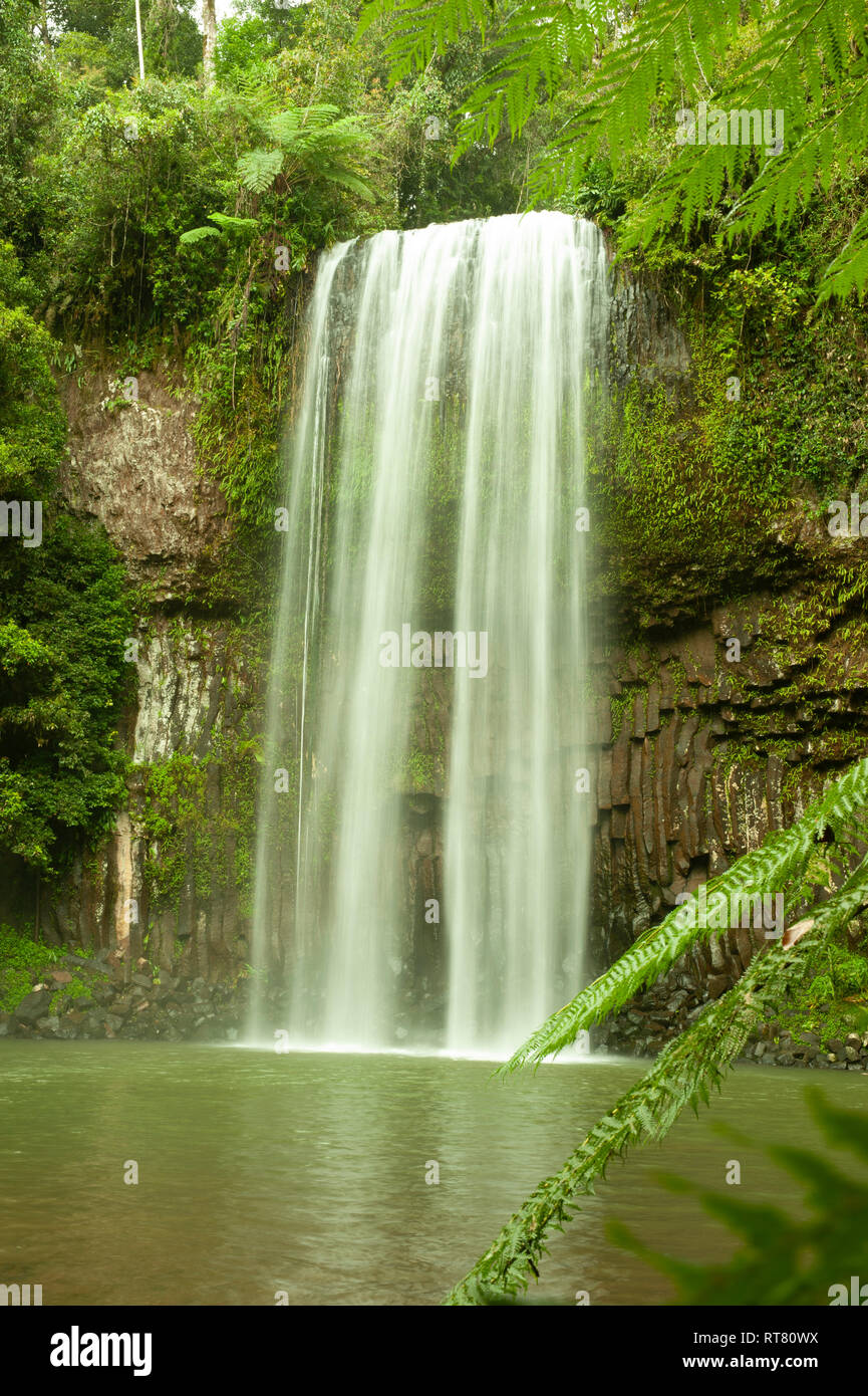 Millaa Millaa Falls, Atherton Tablelands, Far North Queensland, Queensland, Australia Stock Photo