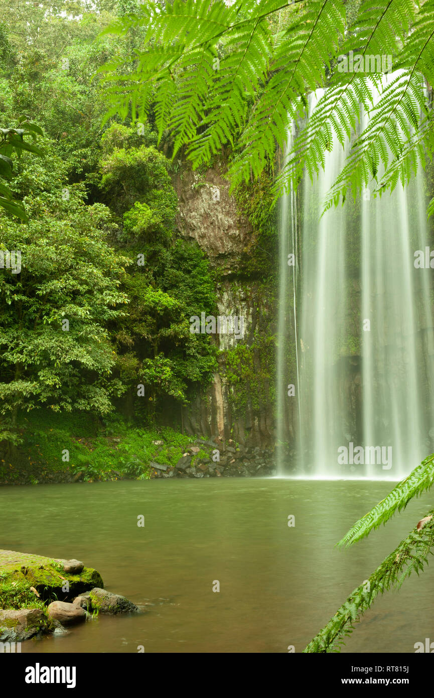 Millaa Millaa Falls, Atherton Tablelands, Far North Queensland