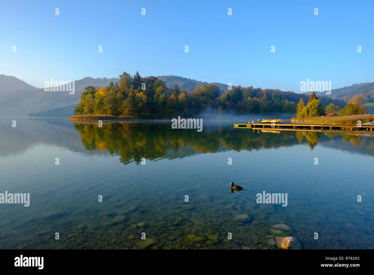 Germany, Upper Bavaria, Lake Schliersee, morning mood at spa park Stock Photo