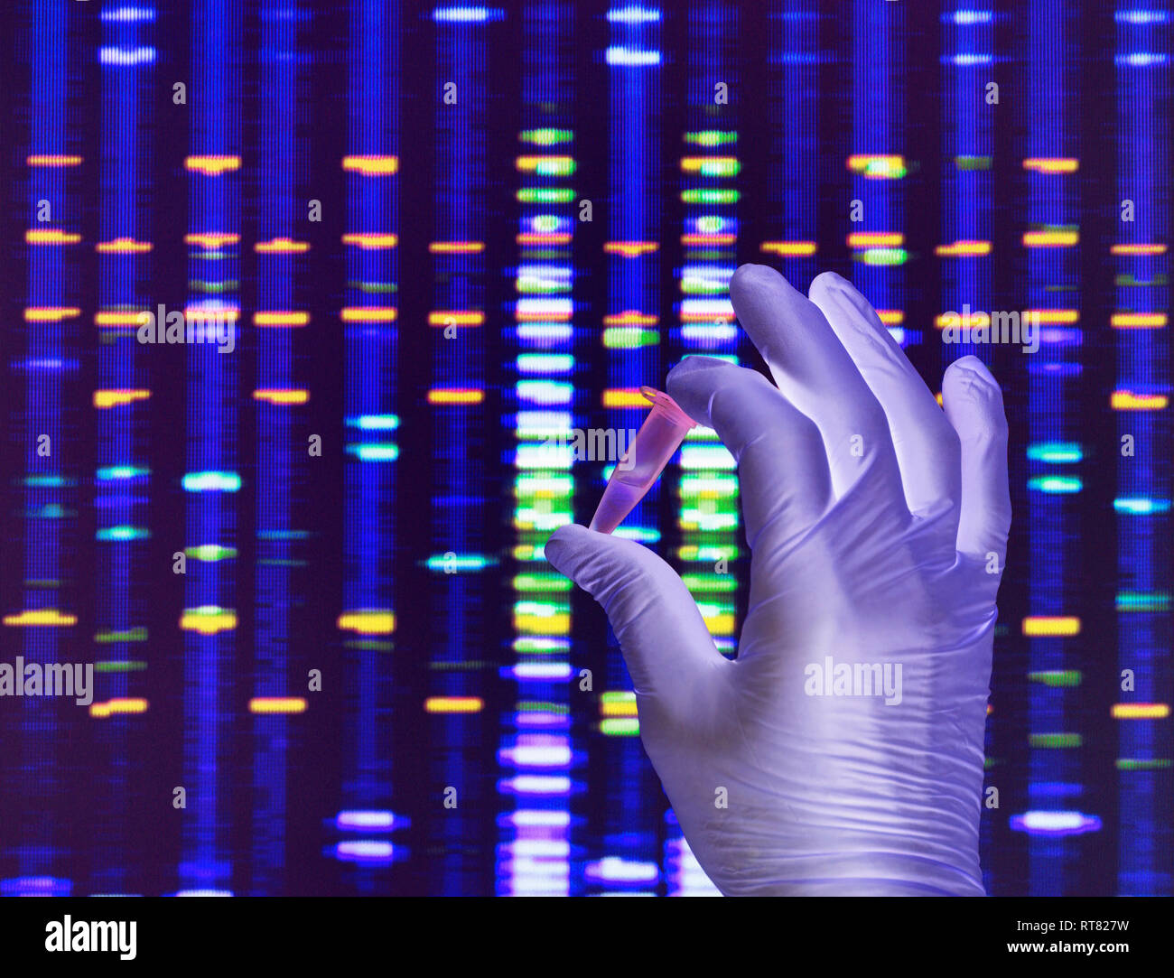 Scientist holding a DNA sample with the results on a computer sceeen in a laboratory Stock Photo