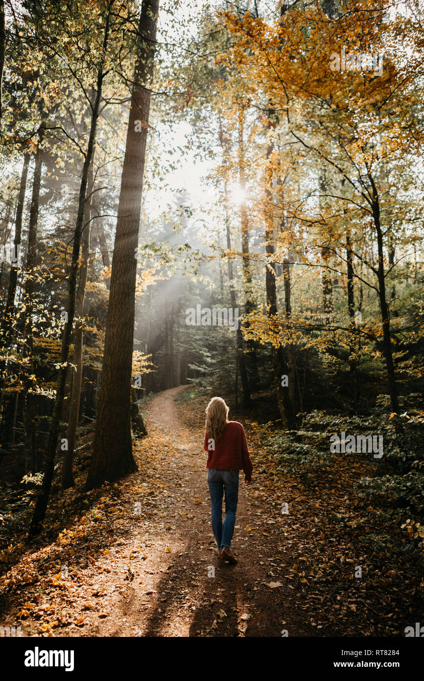 Walking black forest in germany hi-res stock photography and images - Alamy