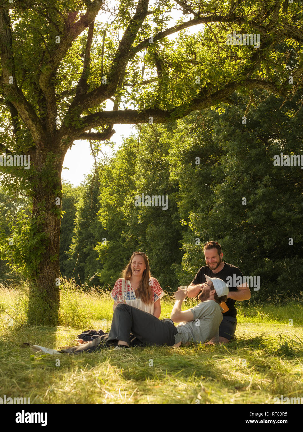 Three friends having fun together in a park Stock Photo