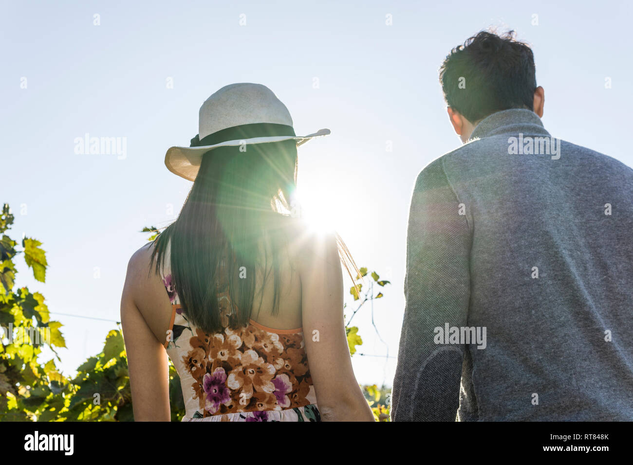 Italy, Tuscany, Siena, young couple in backlight in a vineyard Stock Photo