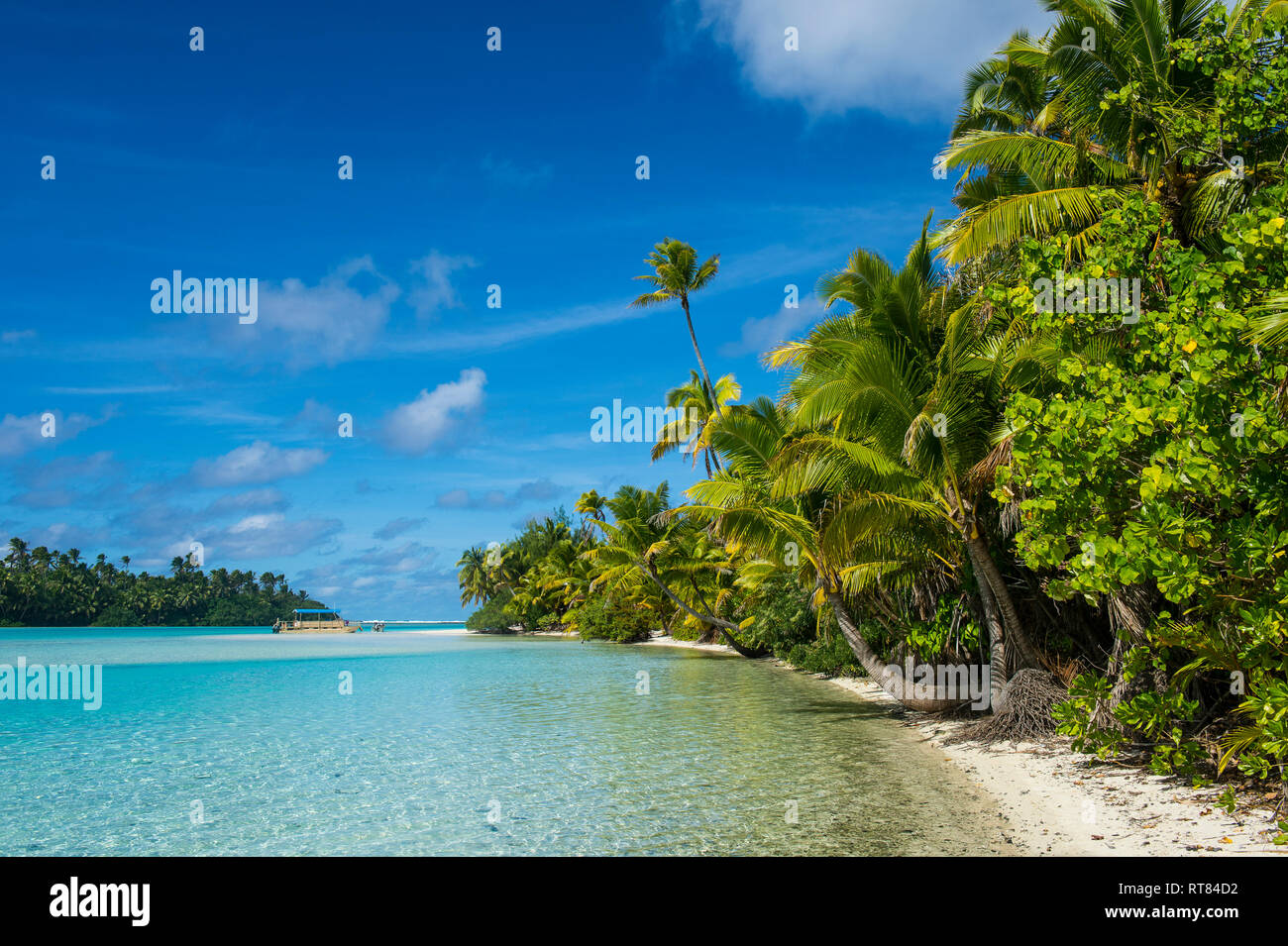 Cook Islands, Rarotonga, Aitutaki lagoon, white sand beach and palm beach Stock Photo