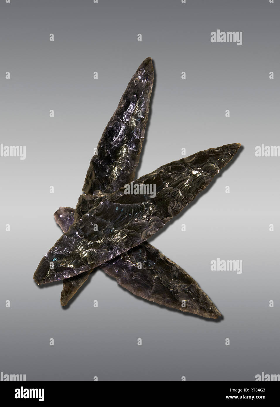 Black obsidian blades. Catalhoyuk Collections. Museum of Anatolian Civilisations, Ankara. Against a grey background Stock Photo