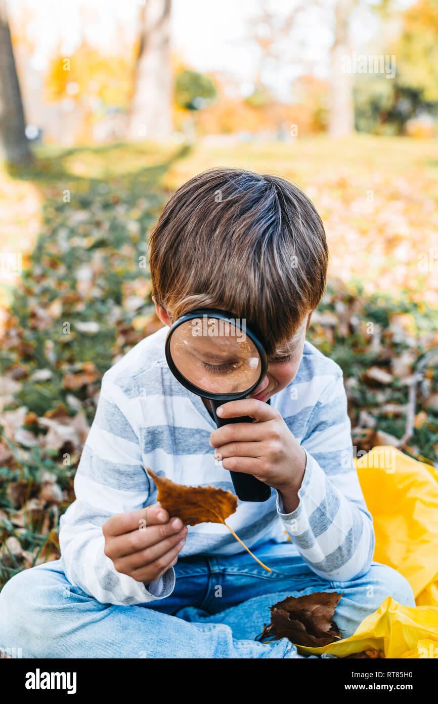 Little boy exploring autumn leaf with magnifying glass in nature Stock Photo