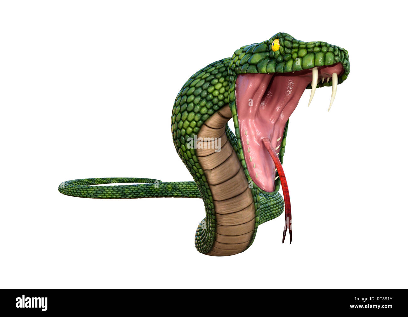 3D rendering of a green giant fantasy snake isolated on white background  Stock Photo - Alamy