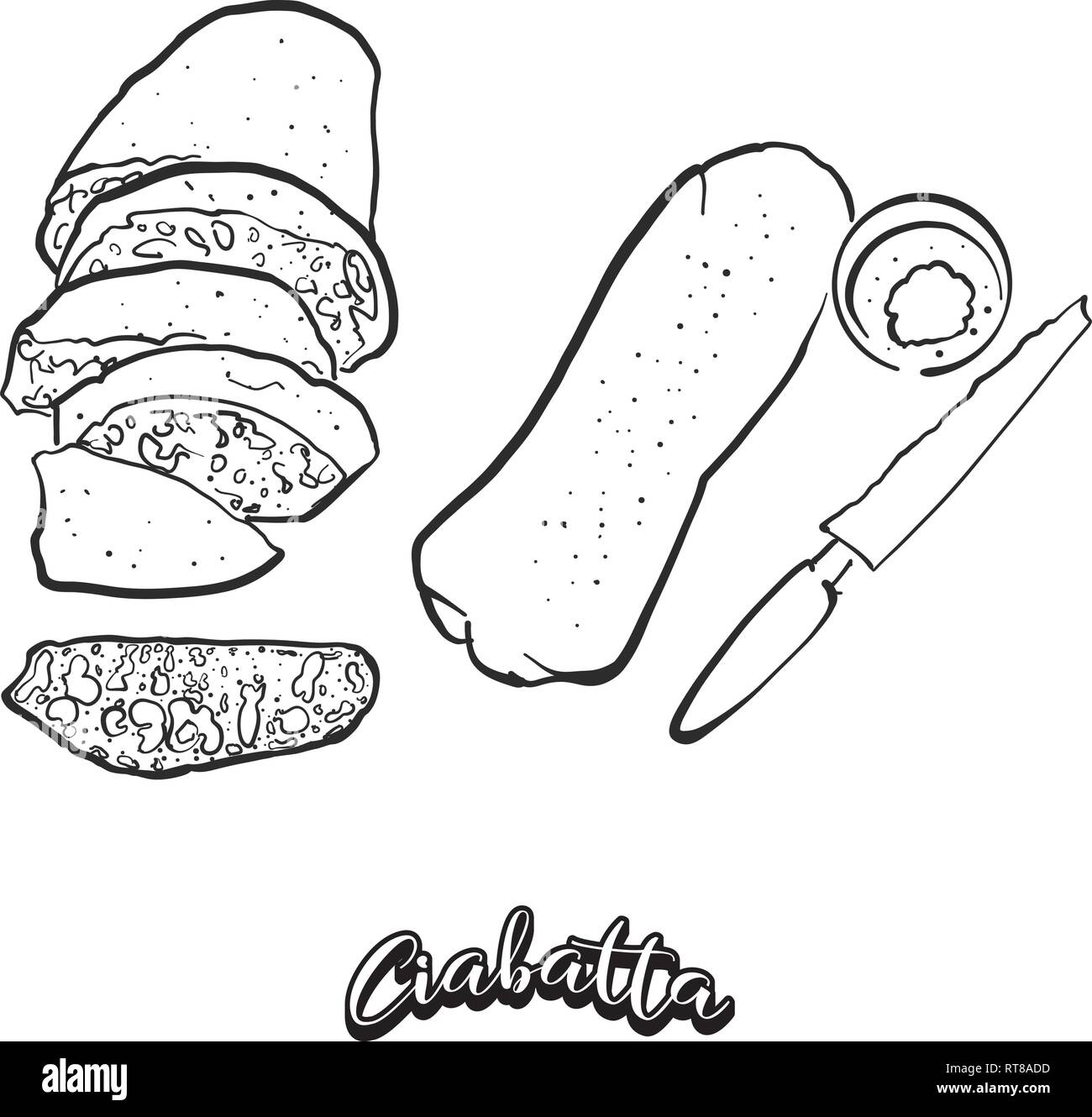 Hand drawn sketch of Ciabatta bread. Vector drawing of White food, usually known in Italy. Bread illustration series. Stock Vector