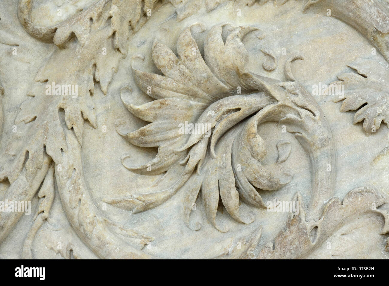 Rome. Italy. The Ara Pacis Augustae, Ara Pacis Museum. Detail of exterior decoration reliefs depicting acanthus scrolls. Stock Photo