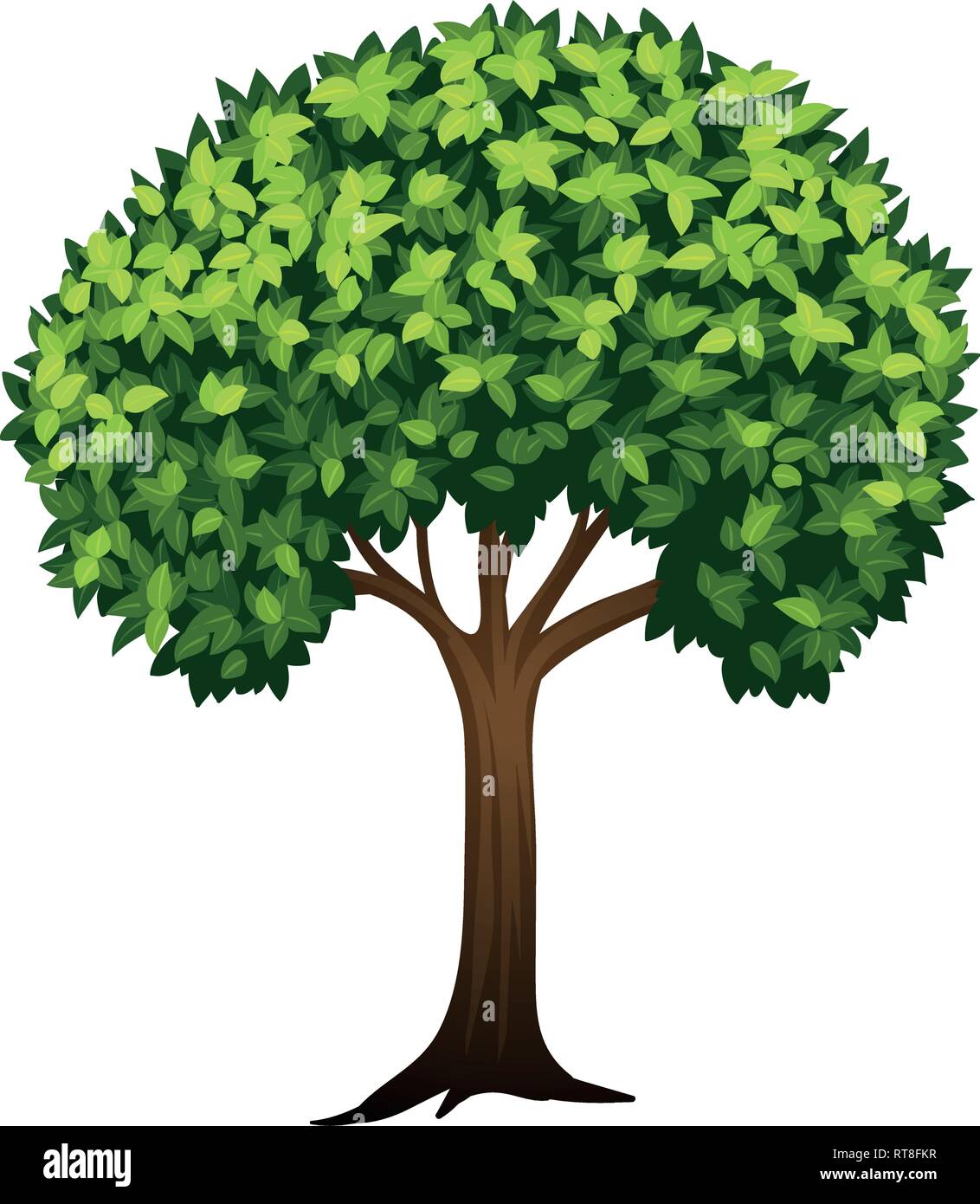 Leafy green tree white background illustration Stock Vector