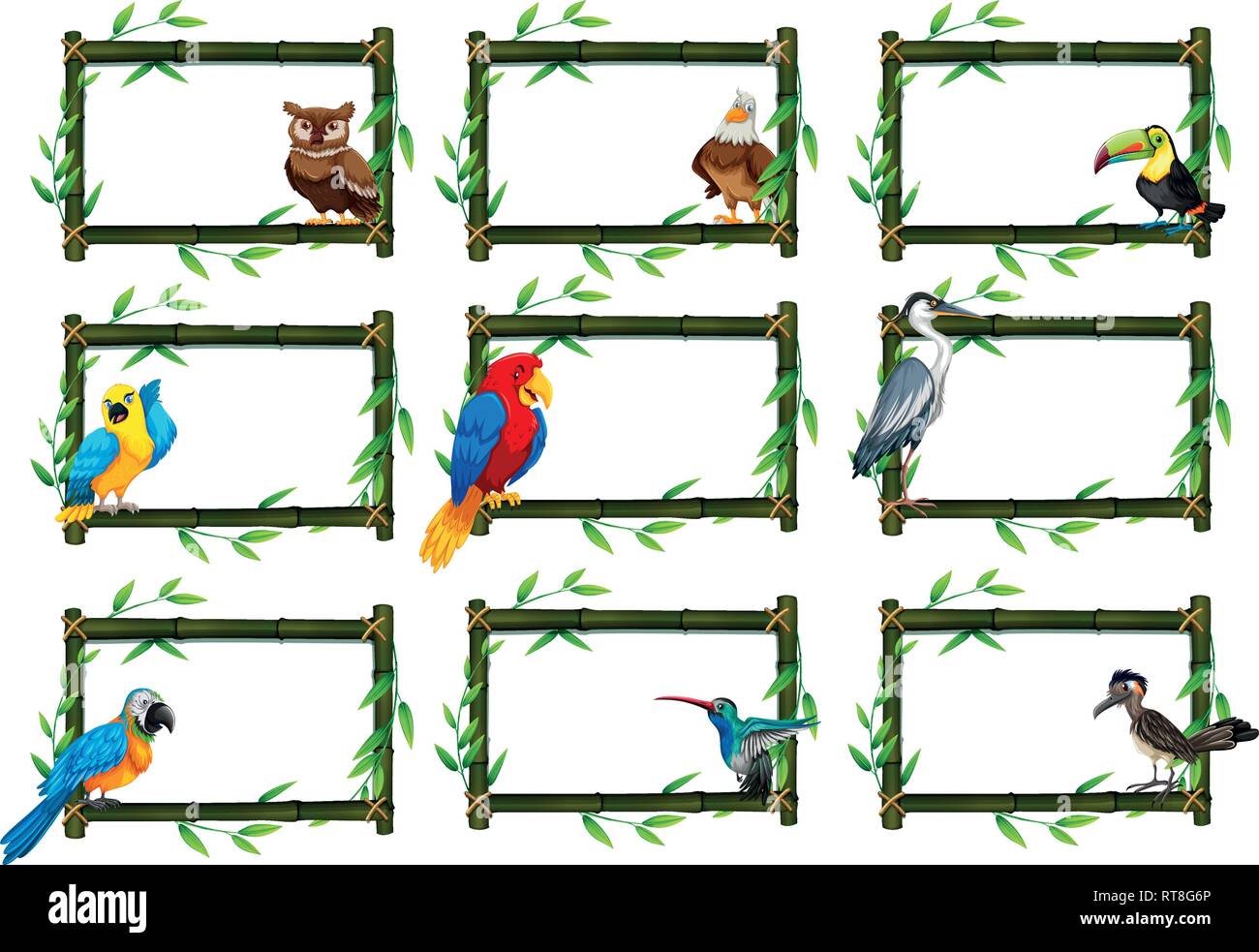 Set of birds in nature scenes illustration Stock Vector Image & Art - Alamy