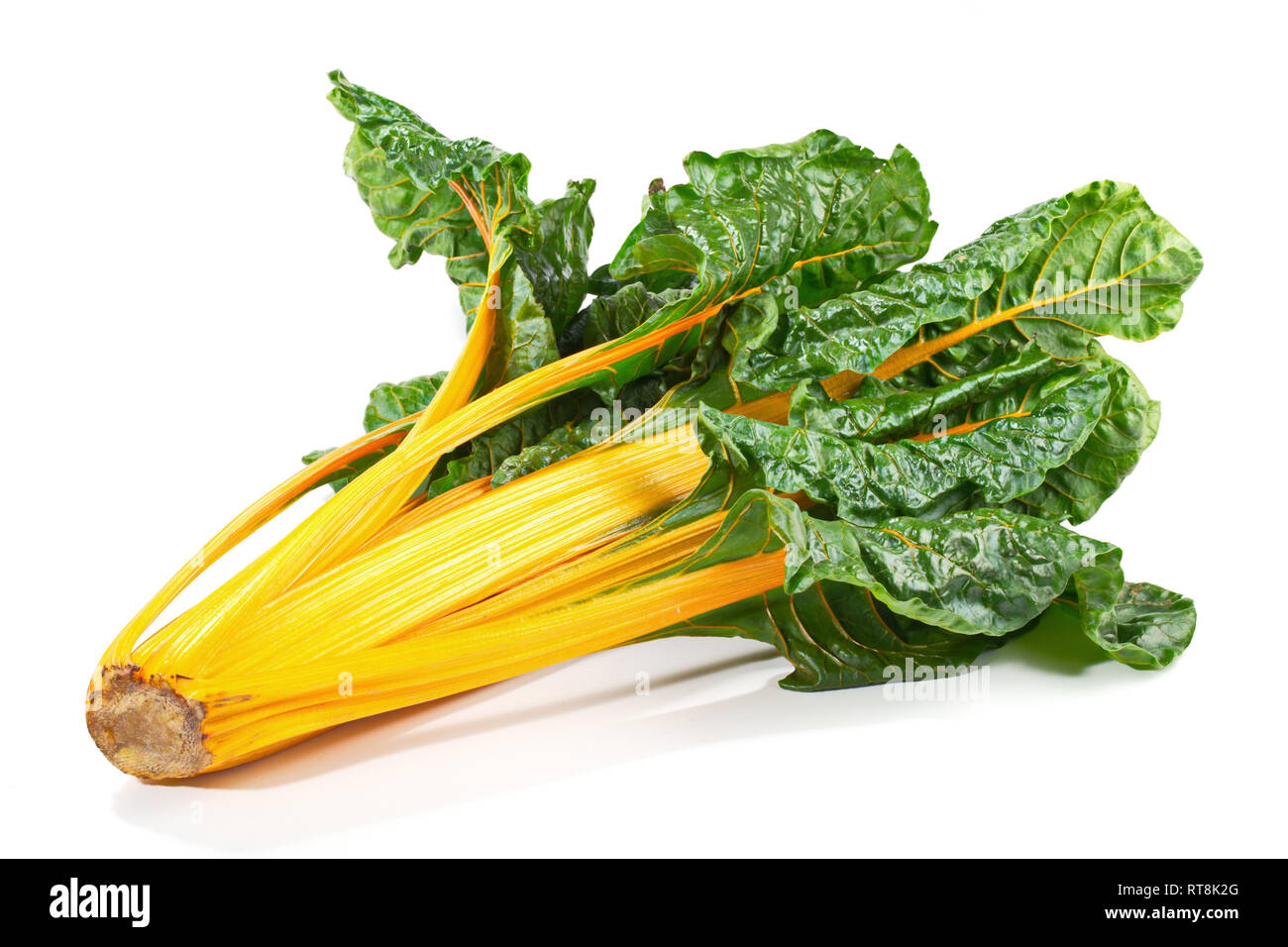 Yellow Chard with Leaves on white Background Stock Photo