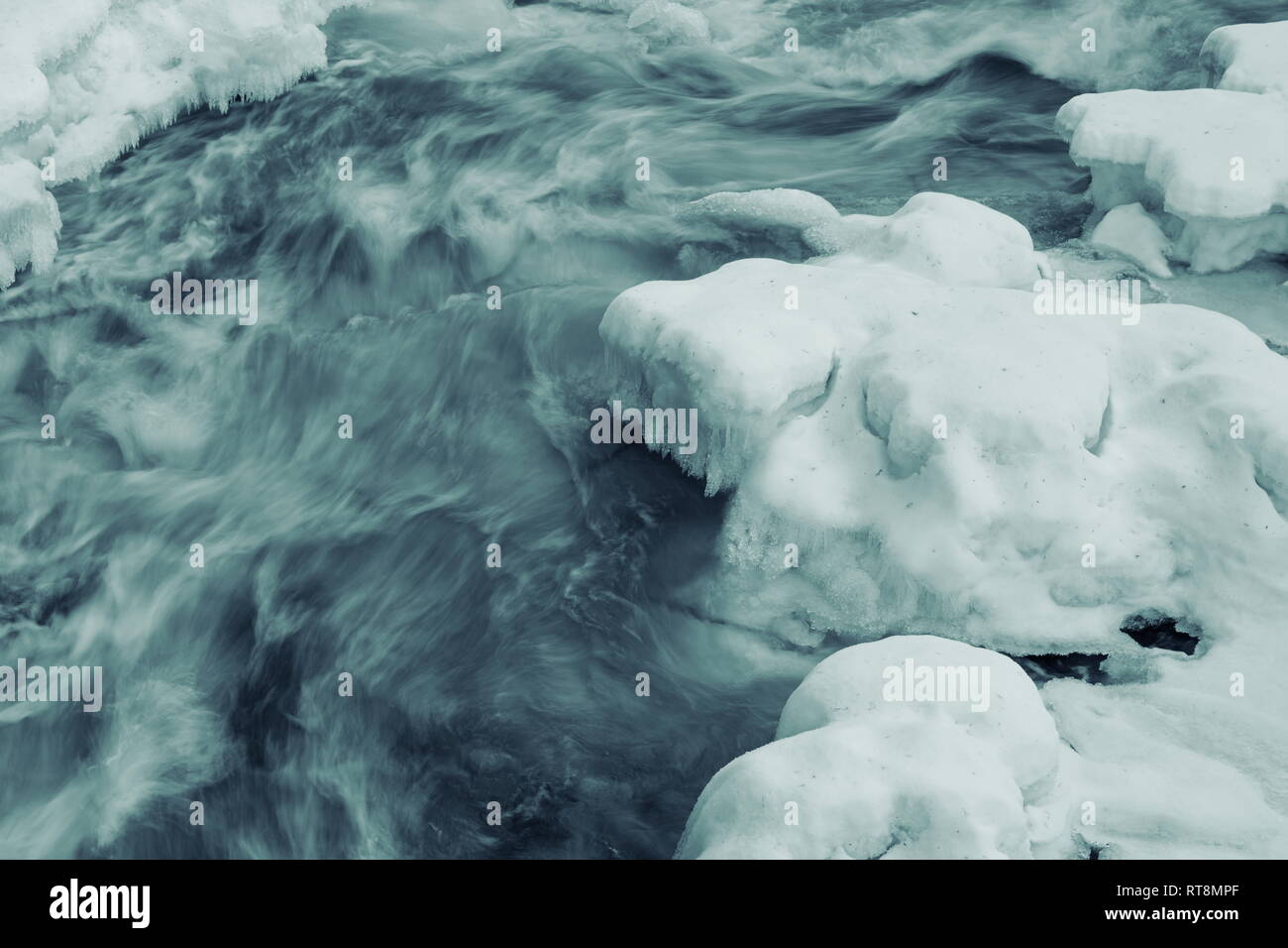 Ice is growing on the banks of a natural white water river on a cold ...