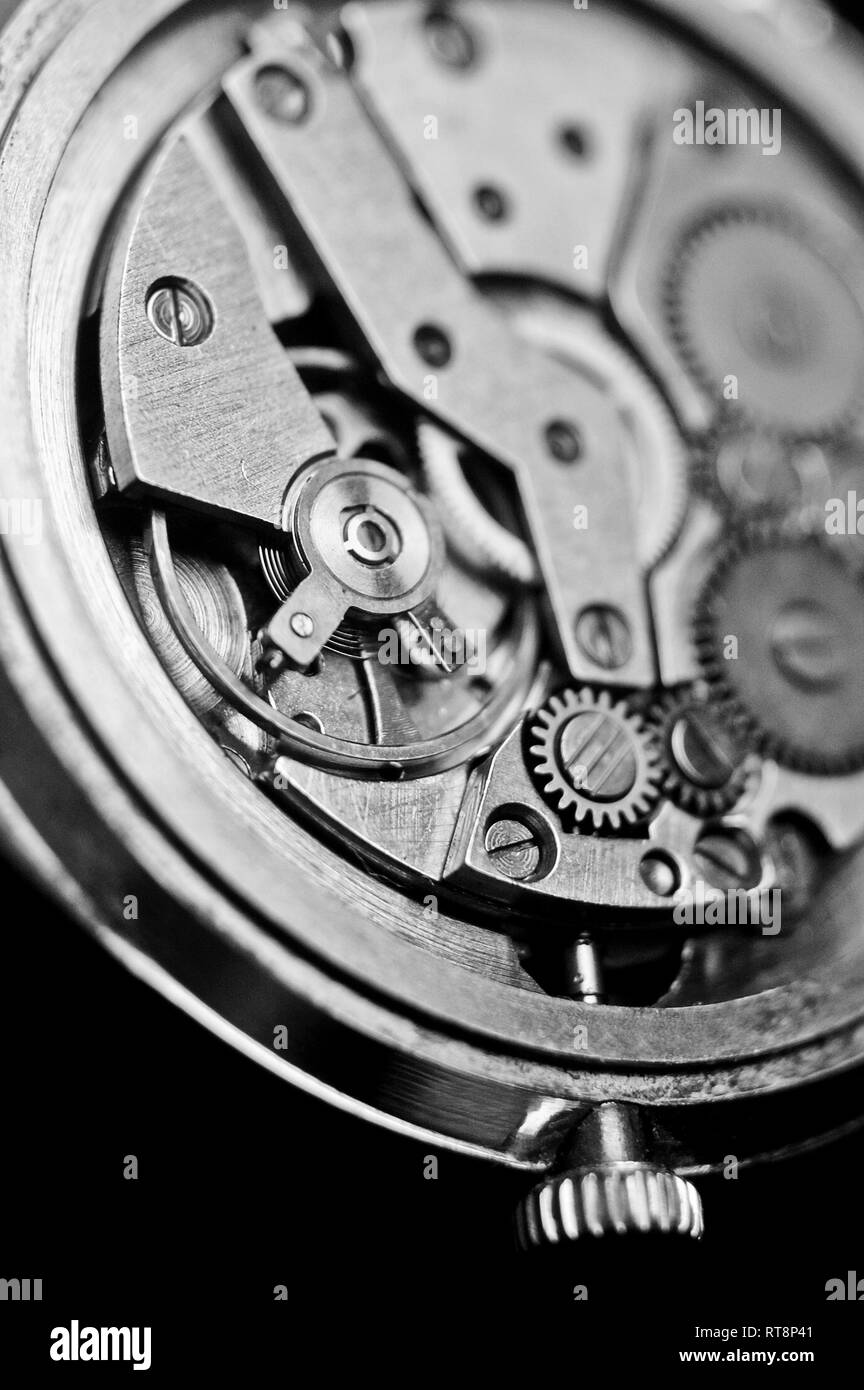 Mechanism of wrist watches in the clear closeup. Shallow depth of field Stock Photo