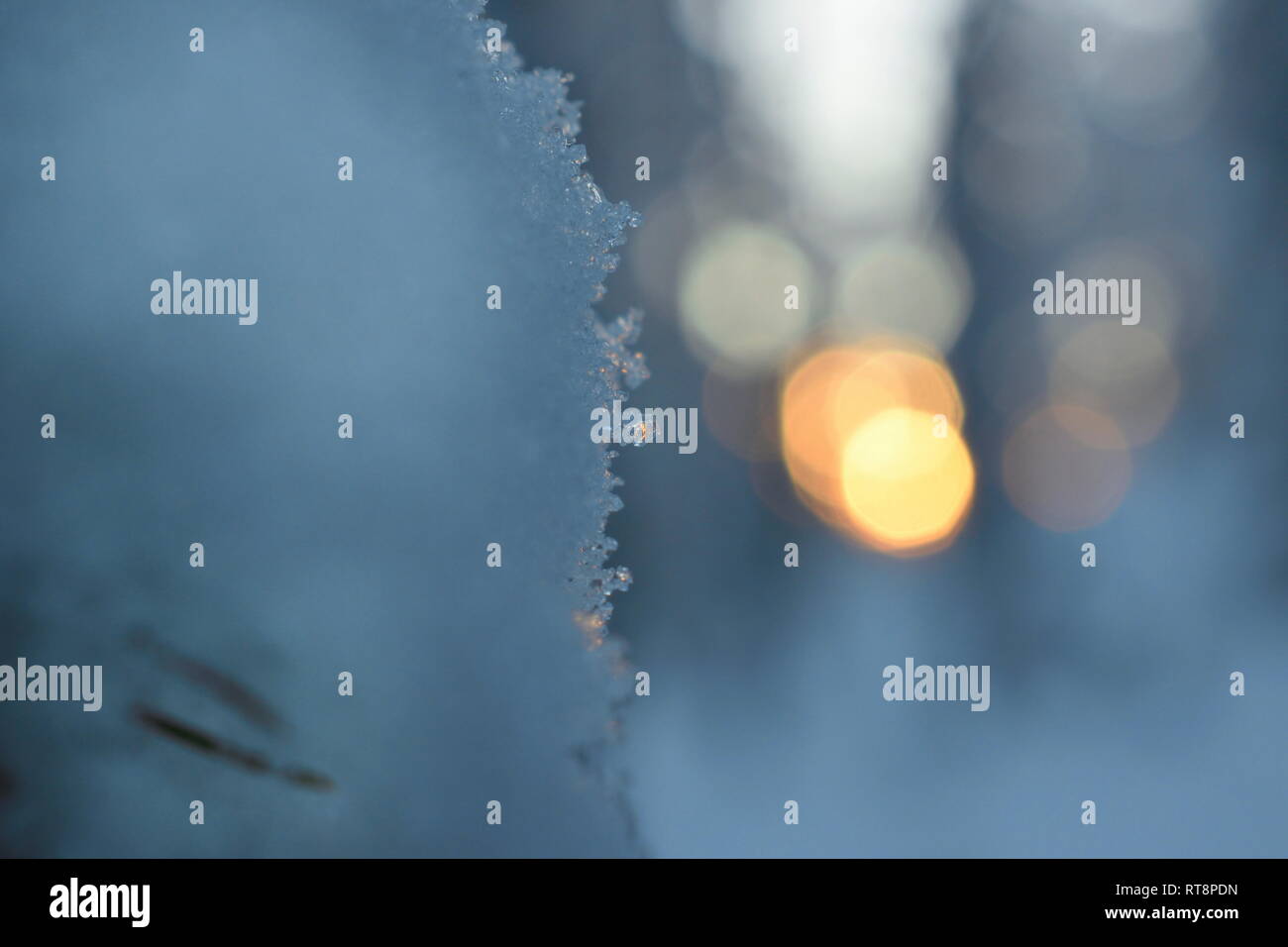 Frost crystals are growing on the snow covering a pine twig in a wintry forest. Stock Photo