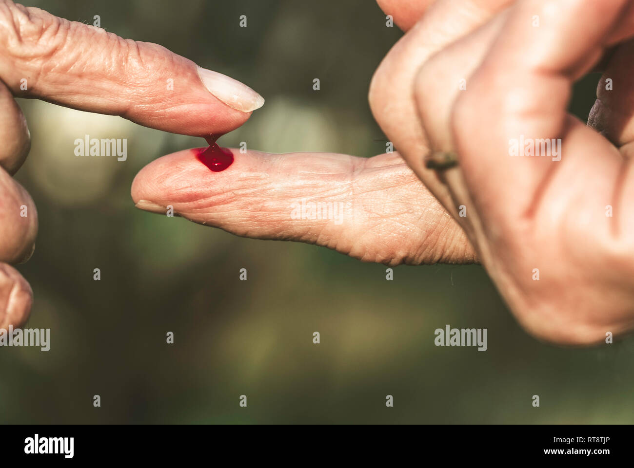 Fingers of man and older woman with blood, pact of blood Stock 