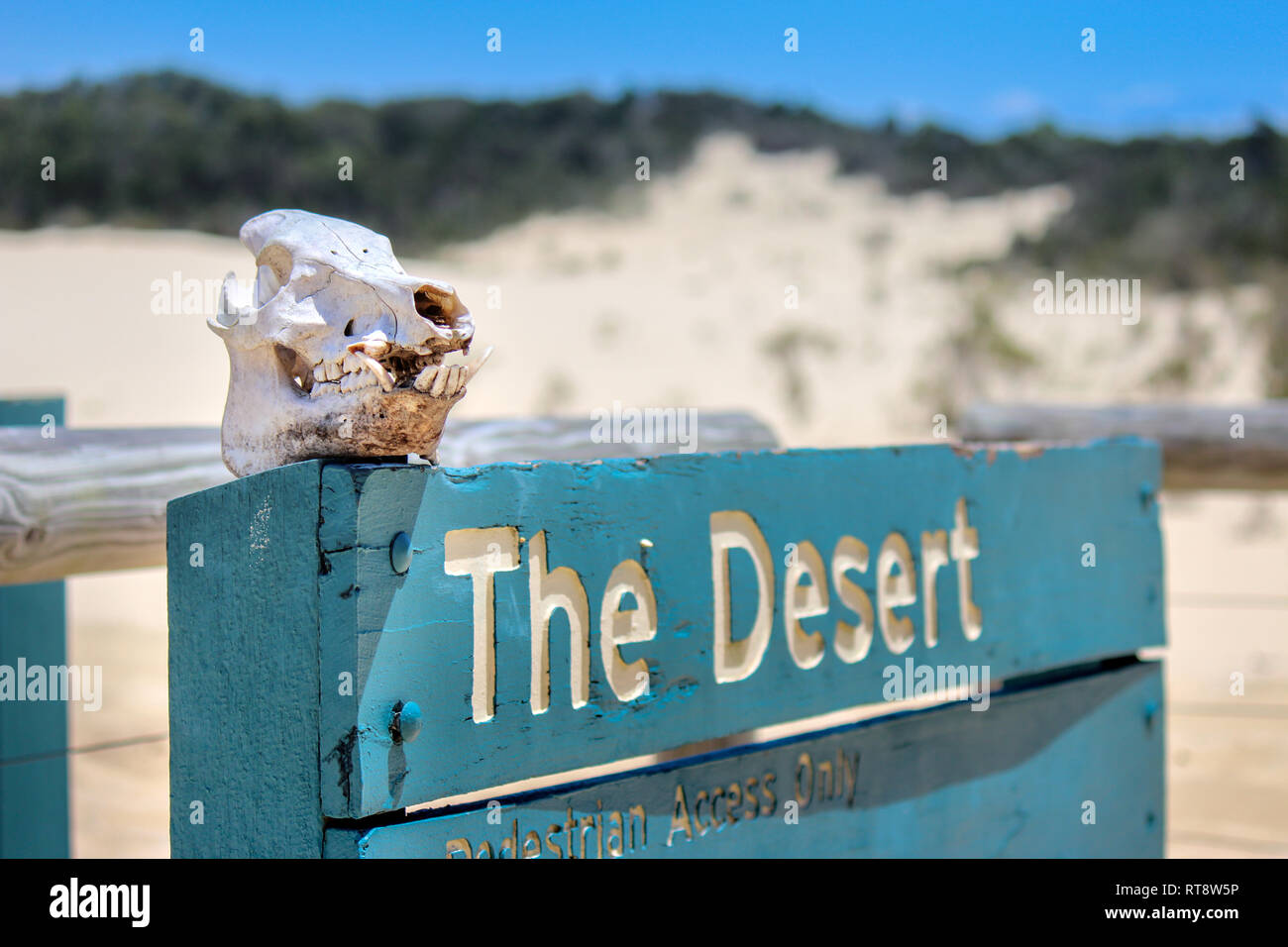 the desert sign on sand island fraser island australia adventure travel backpacker Stock Photo