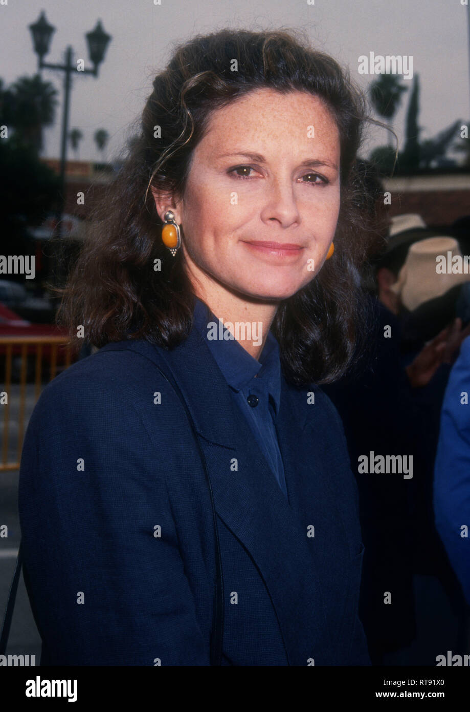 HOLLYWOOD, CA FEBRUARY 1 Actress Stephanie Zimbalist attends