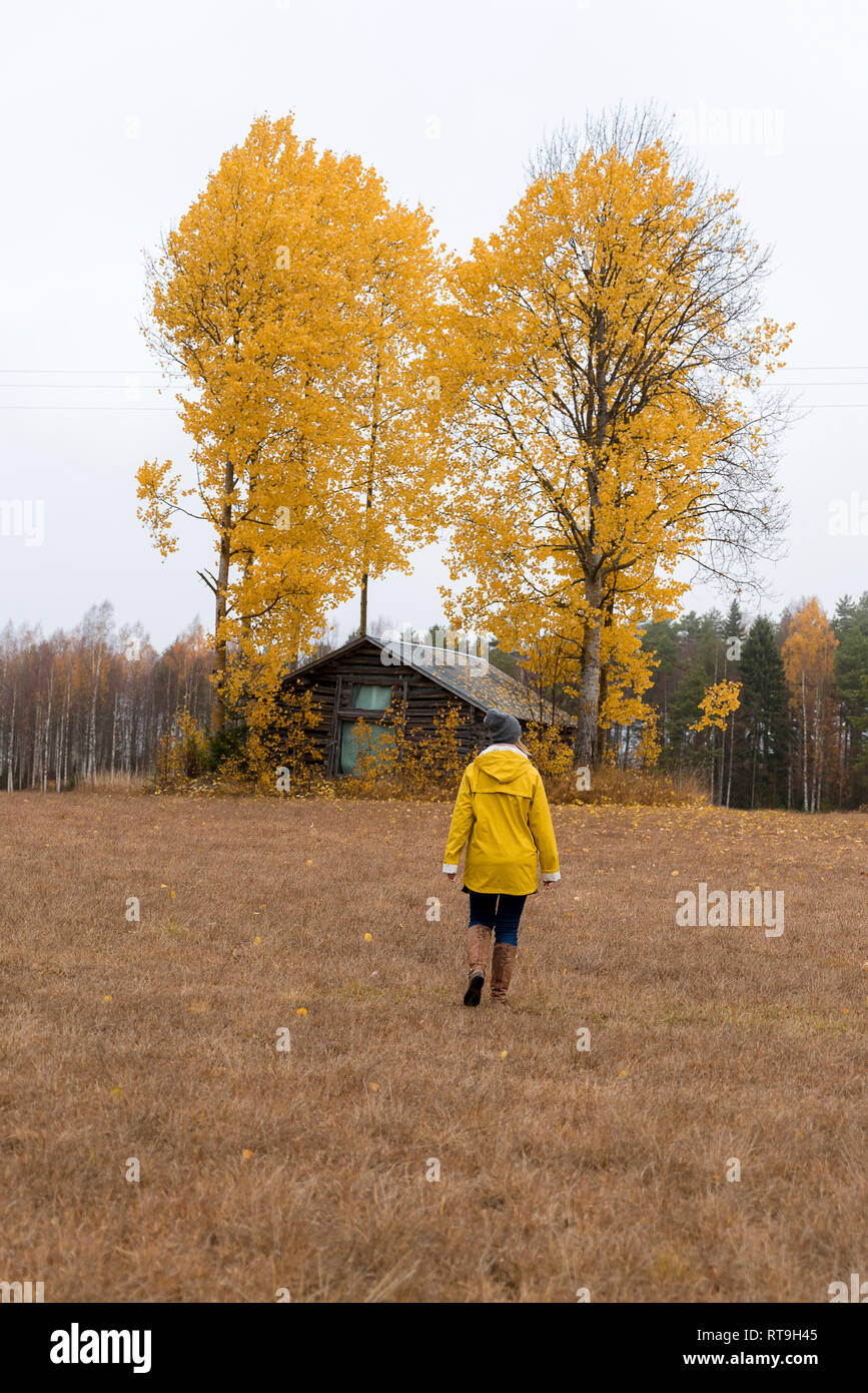 Finland, Kuopio, back view of woman in yellow rain jacket walking towards autumnal trees Stock Photo