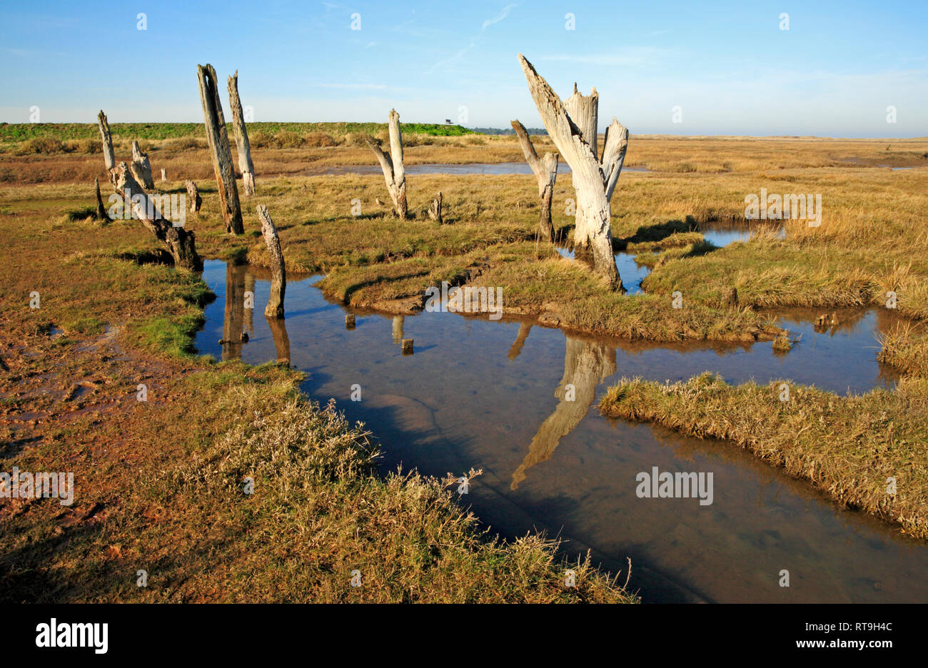 A fine art view of old weathered posts and reflections at the edge of salt marshes in North Norfolk at Thornham, Norfolk, England, UK, Europe. Stock Photo