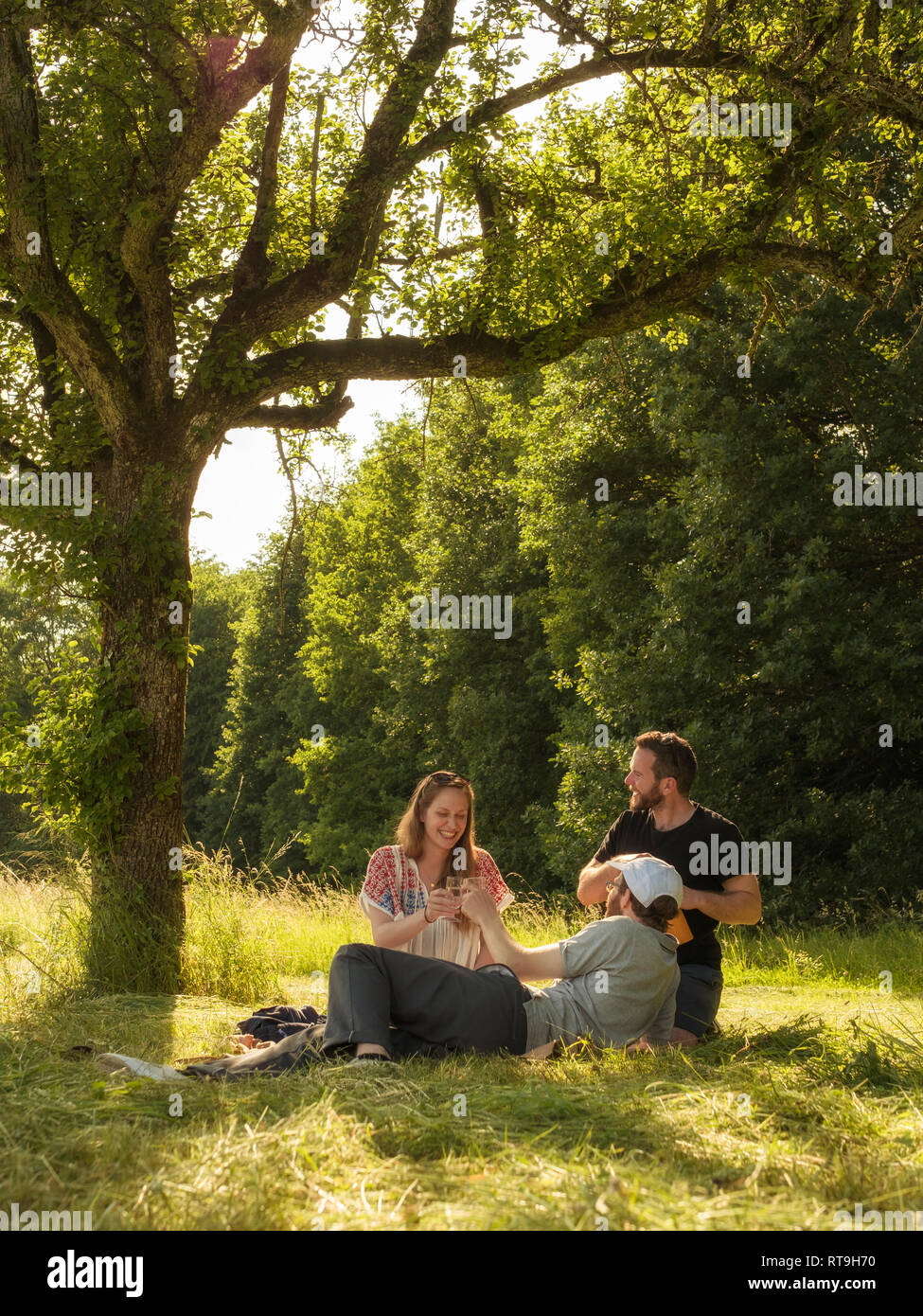 Three friends drinking wine together in a park Stock Photo
