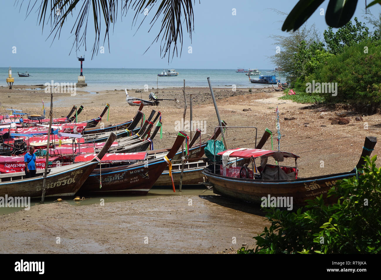 Traditional Long tail boats / speedboats in Ao Nam Mao pier in Krabi Thailand. Stock Photo
