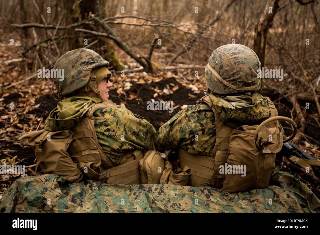 U.S. Marines with Sierra Battery, 3rd Battalion, 12th Marine Regiment, 3rd Marine Division, refine their infantry skills during the Fuji High Mobility Artillery Rocket System Exercise at the Combat Arms Training Center on Camp Fuji, Japan, on Jan. 30, 2019. Training at CATC Fuji offers S Battery the ability to develop their warfighting proficiency by training in a cold weather environment. Stock Photo