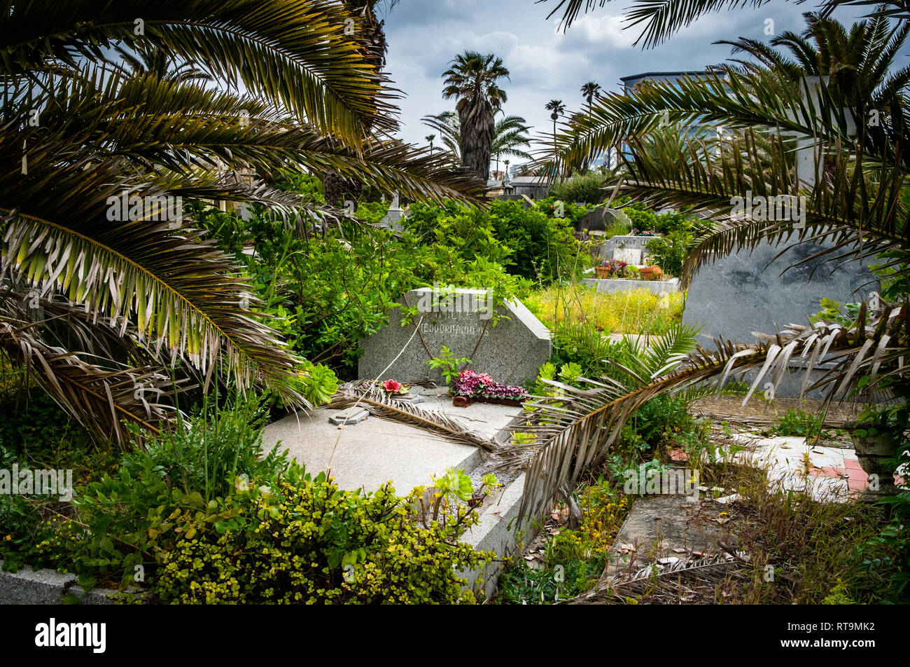 Morocco: Casablanca. The European cemetery of El-Hank contains the graves of more than 500 foreign Christians (French, Spanish, Italian...) killed in  Stock Photo