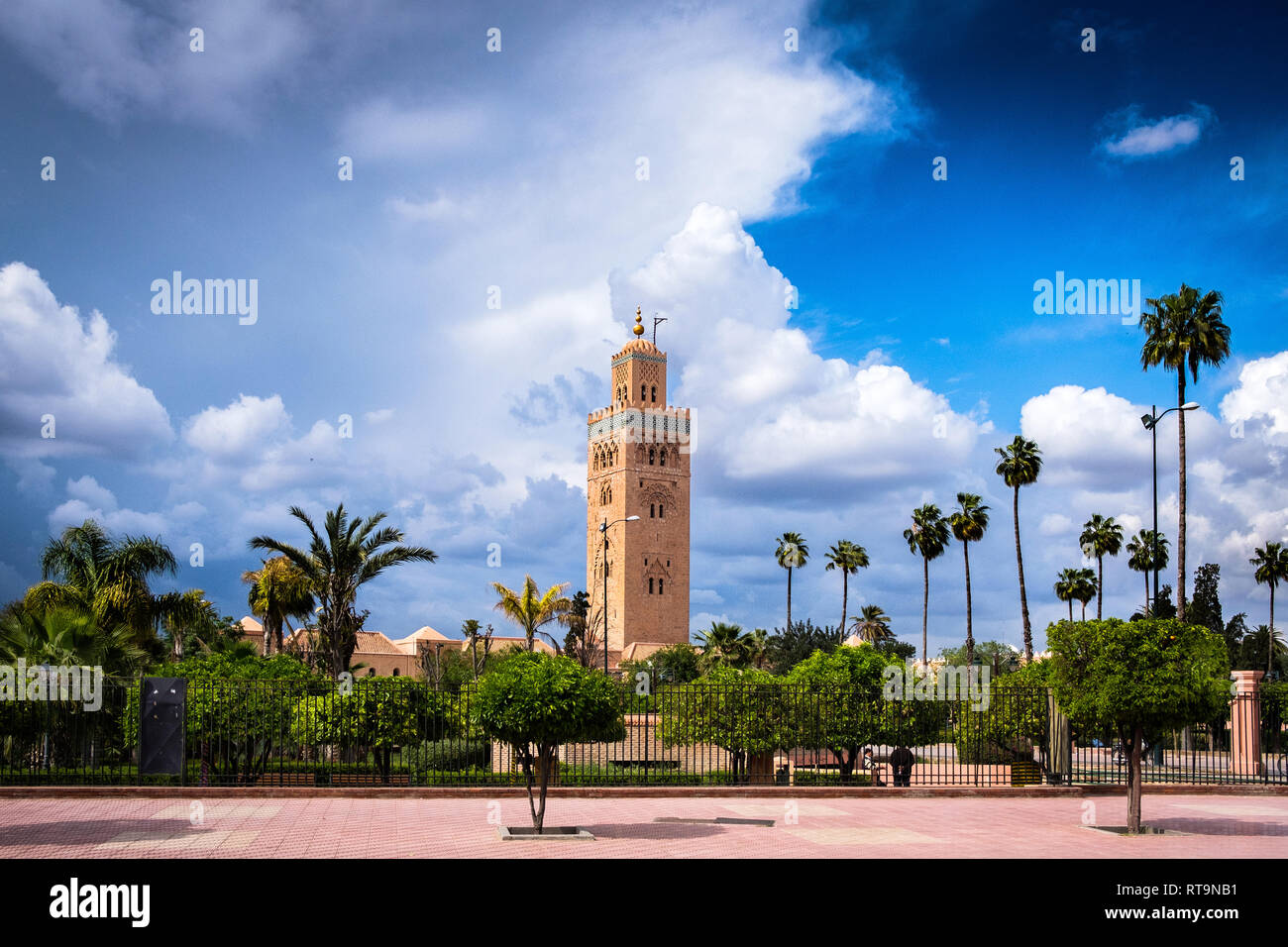 Morocco: Marrakech. The Koutoubia Mosque, built in the XIIth century and reputed to be a pinnacle of Almohad art. *** Local Caption *** Stock Photo