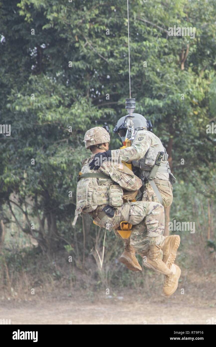 Jungle hires stock photography and images Alamy