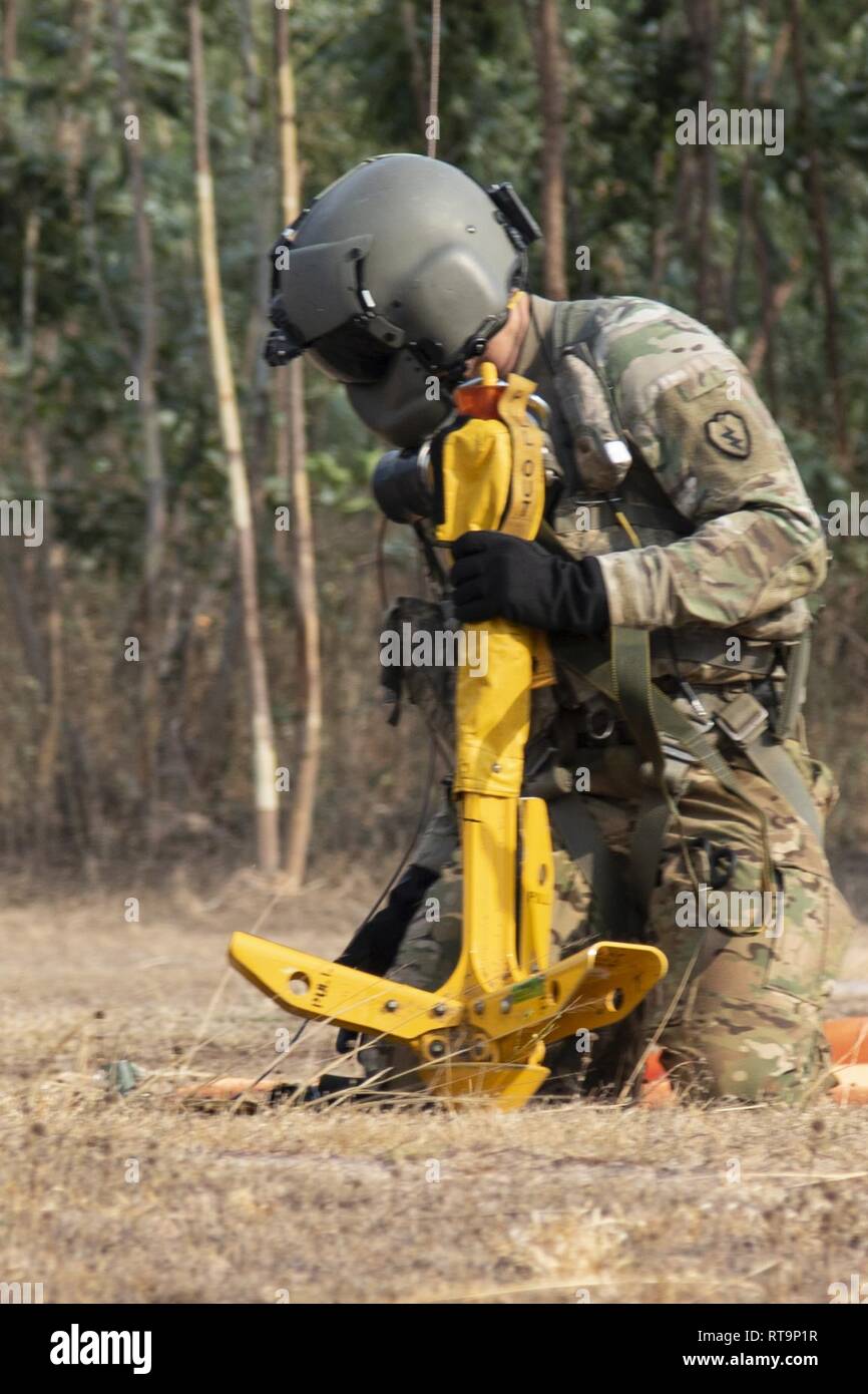 Jungle hires stock photography and images Alamy