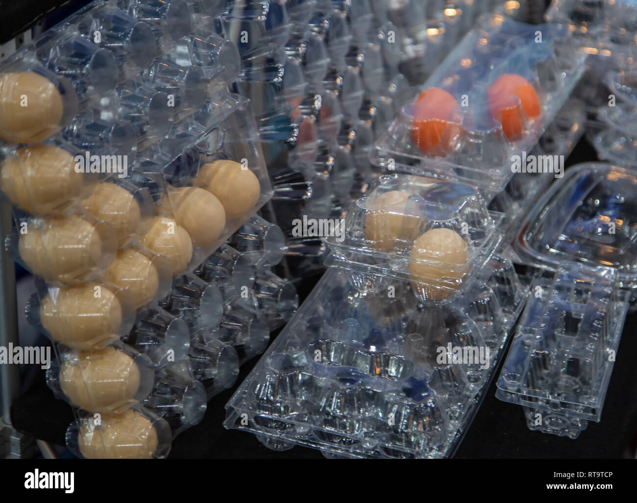 Different size packaging of plastic egg carton Stock Photo Alamy