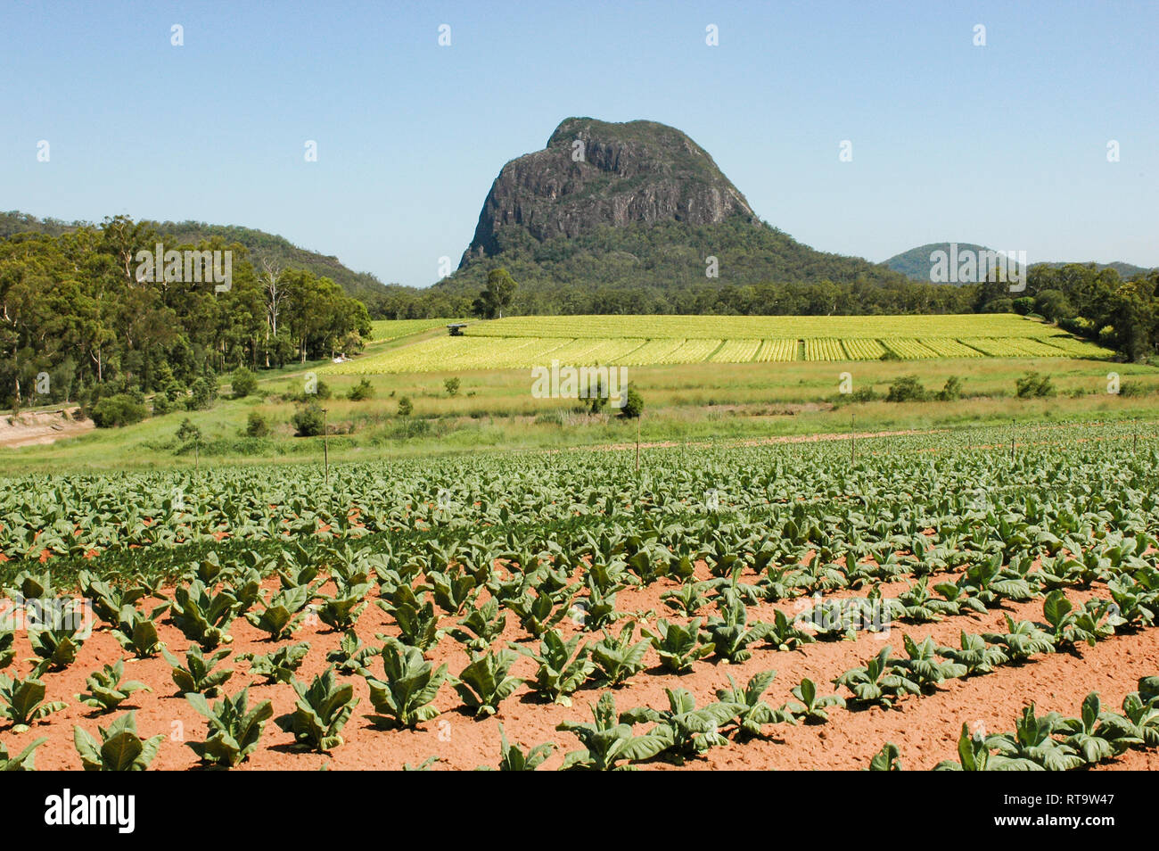 Glass House Mountains, Queensland, Australia Stock Photo Alamy
