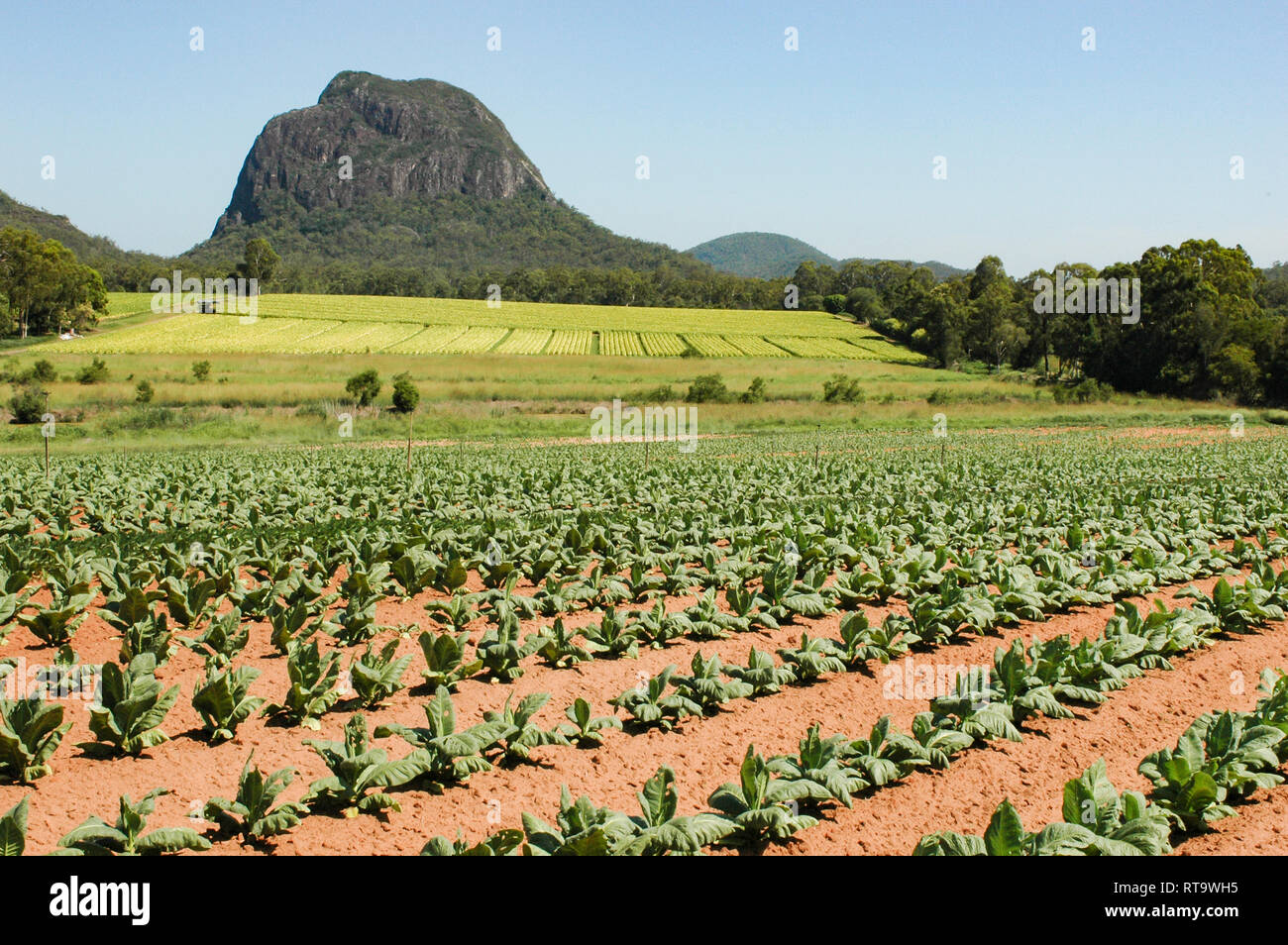 Glass House Mountains, Queensland, Australia Stock Photo Alamy