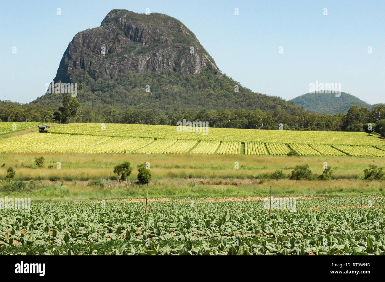 Glass House Mountains, Queensland, Australia Stock Photo Alamy