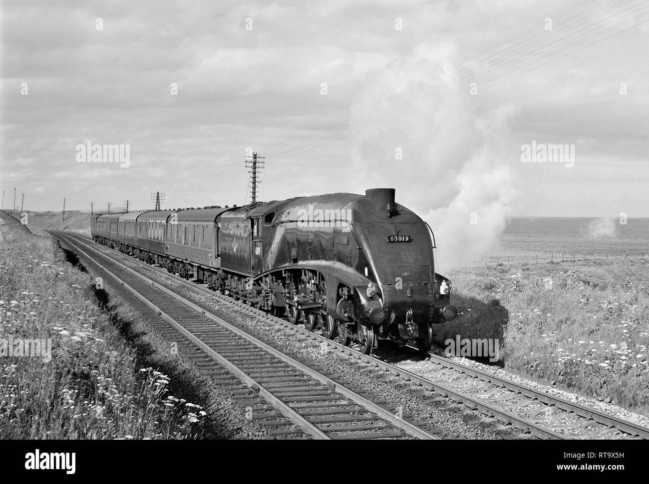 Streamlined A4 4-6-2 Pacific No. 60019 Bittern hauling the 17.30 Aberdeen to Glasgow 3 hour express at Cove Bay in July 1965 Stock Photo