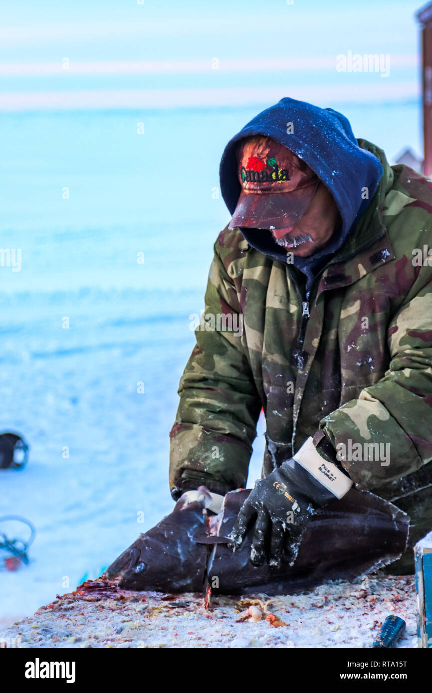 Inuit man fillets his catch Stock Photo