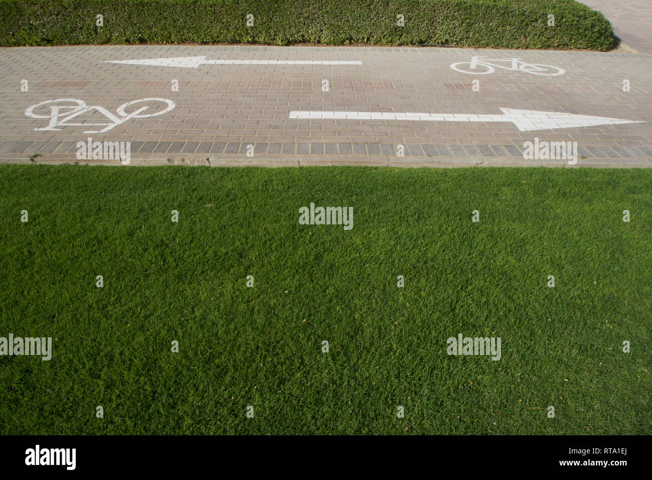 Dubai-Al Barsha Pond Park bycicle lane with right arrow and grass Stock Photo