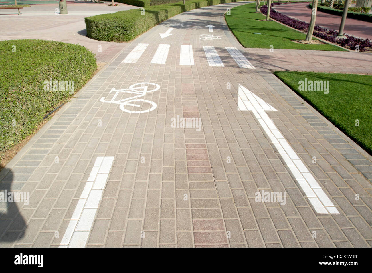 Dubai-Al Barsha Pond Park bycicle lane with upward and downward arrow Stock Photo