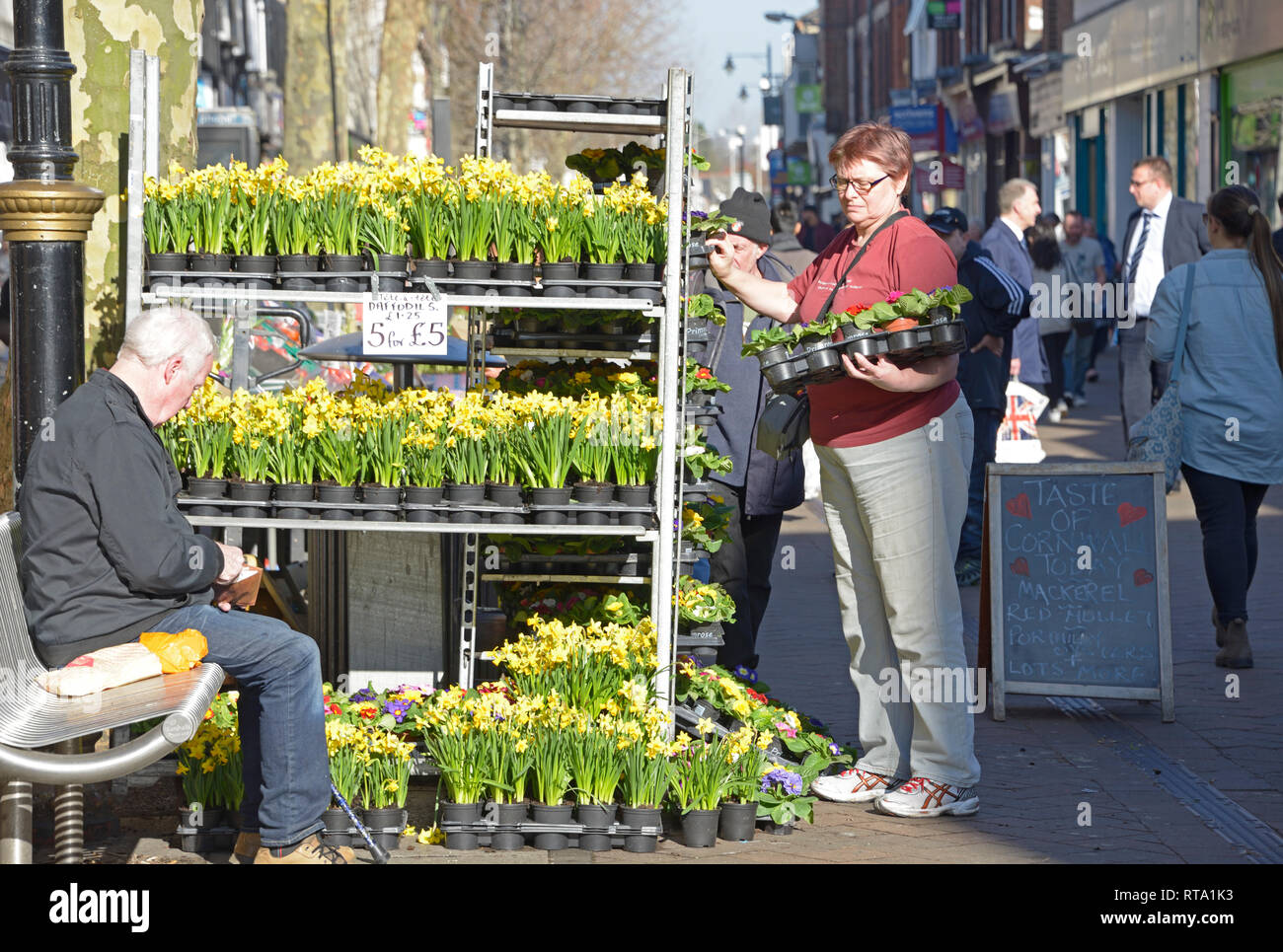 Daffodils on sale, Beeston, Nottingham Stock Photo Alamy