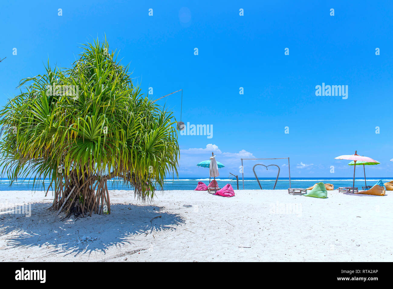 Tropical trees on the coast of Gili Trawangan in Indonesia. Stock Photo